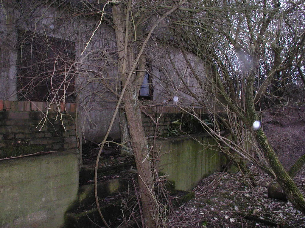 OLYMPUS DIGITAL CAMERA