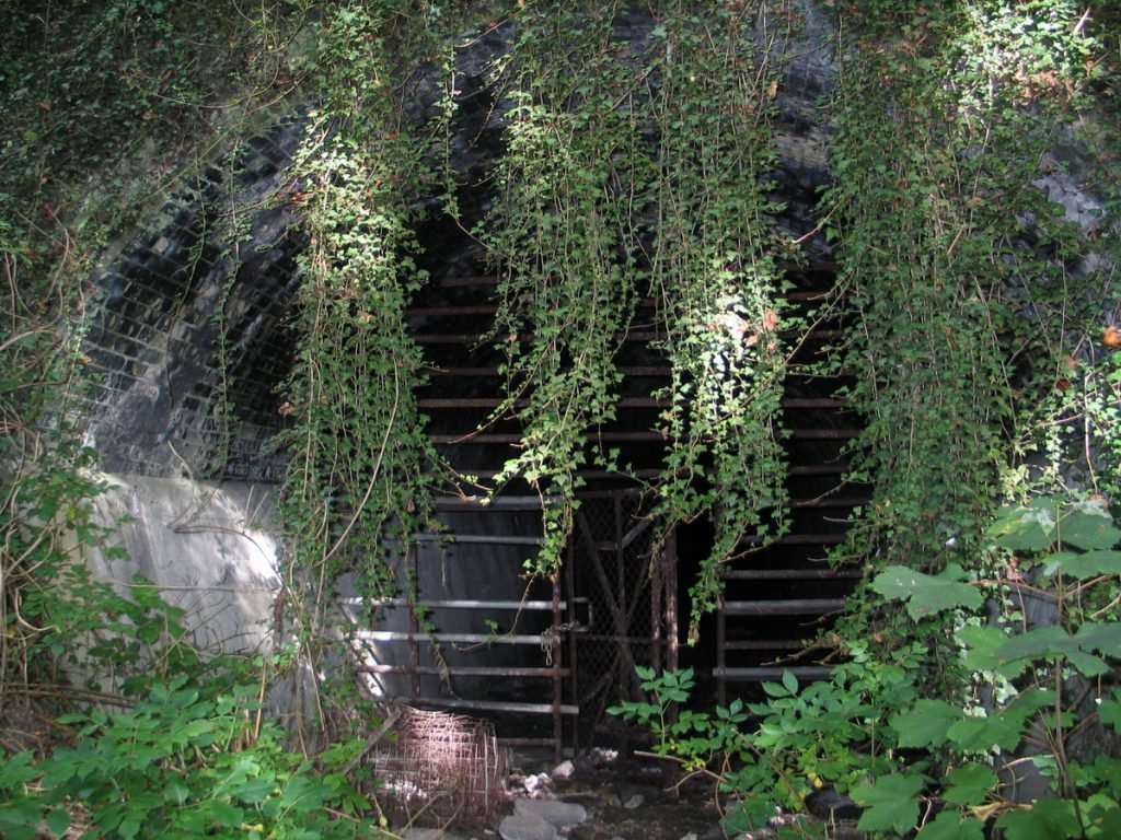 Burham 03