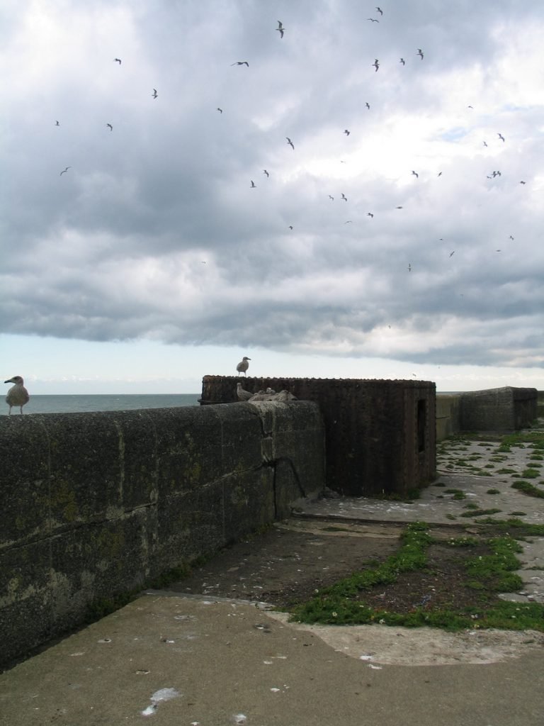 Breakwater 88