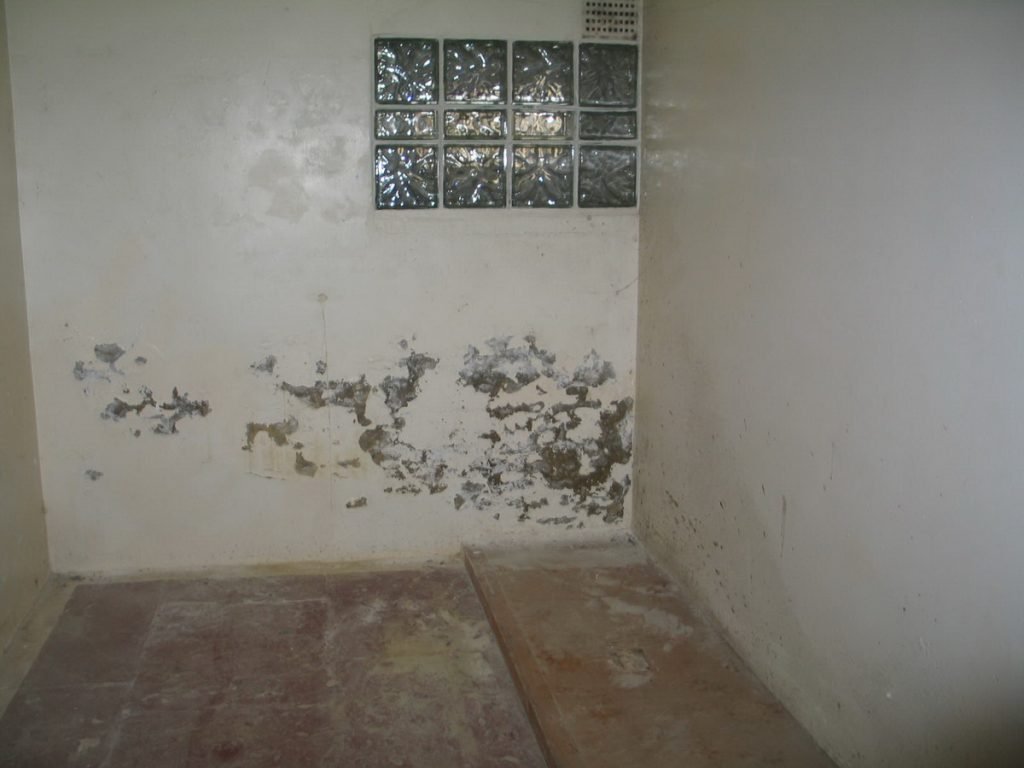 Citadel 29