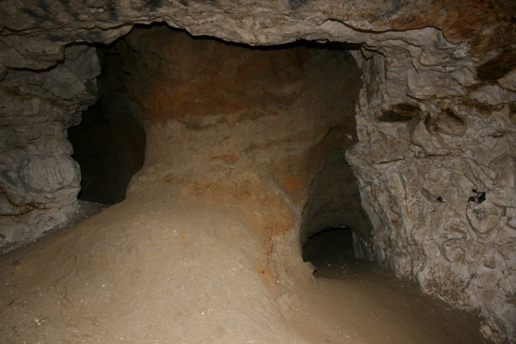 Hangman's Wood Deneholes 43