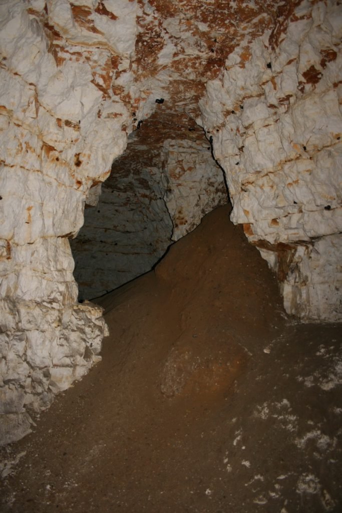 Hangman's Wood Deneholes 67