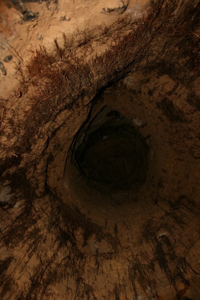 Hangman's Wood Deneholes 74