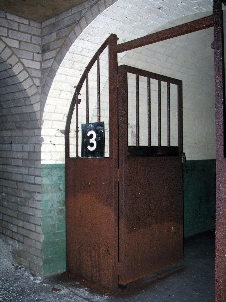Shorts Tunnel 72