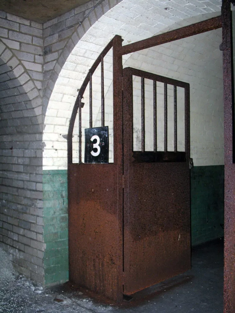 Shorts Tunnel 72